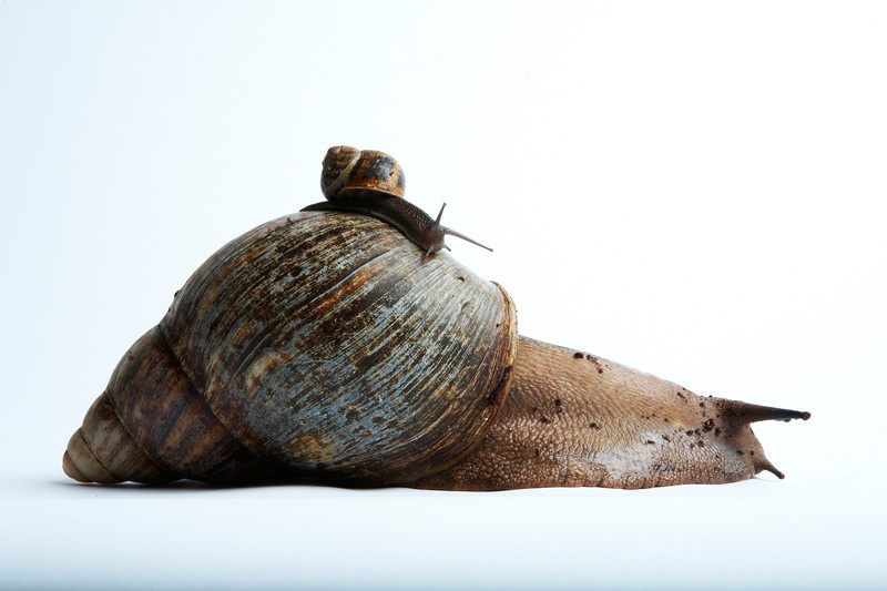 4ee57a11-ad6a-401b-9db7-917680afd71d