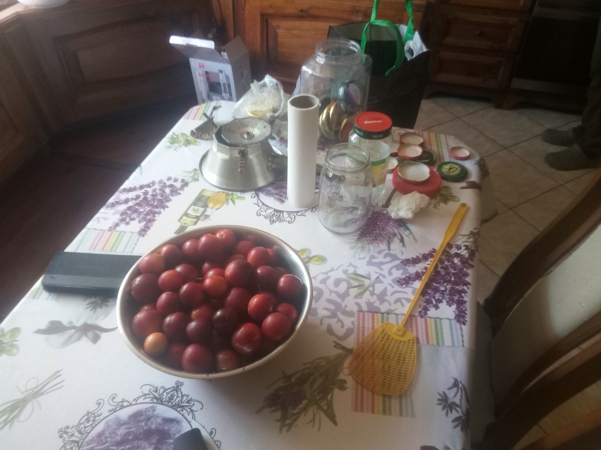 56987707-ffc9-49c5-b2be-53f7860fe3e8