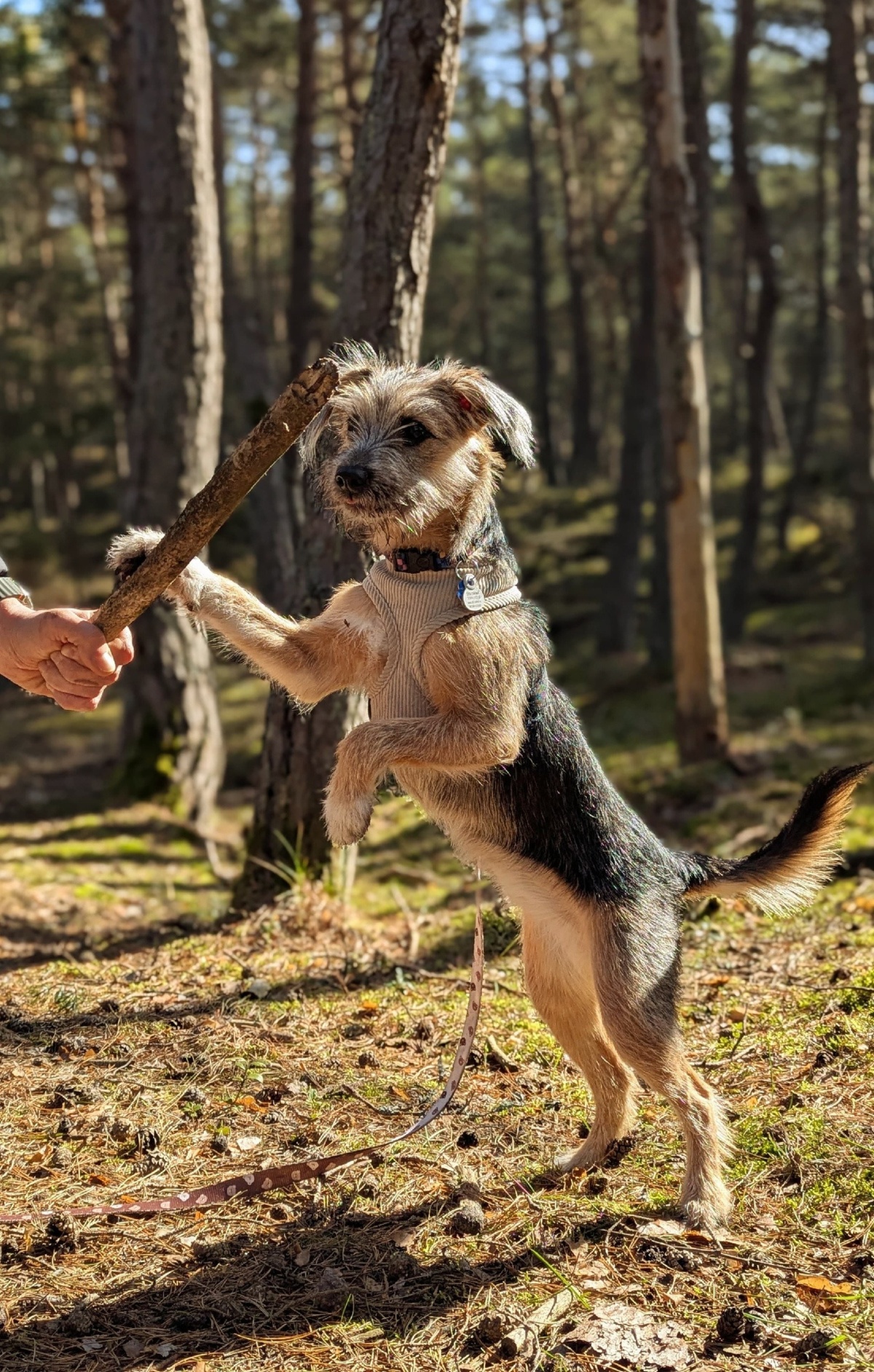 ad6209d1-1808-4bec-a815-0c53561df271