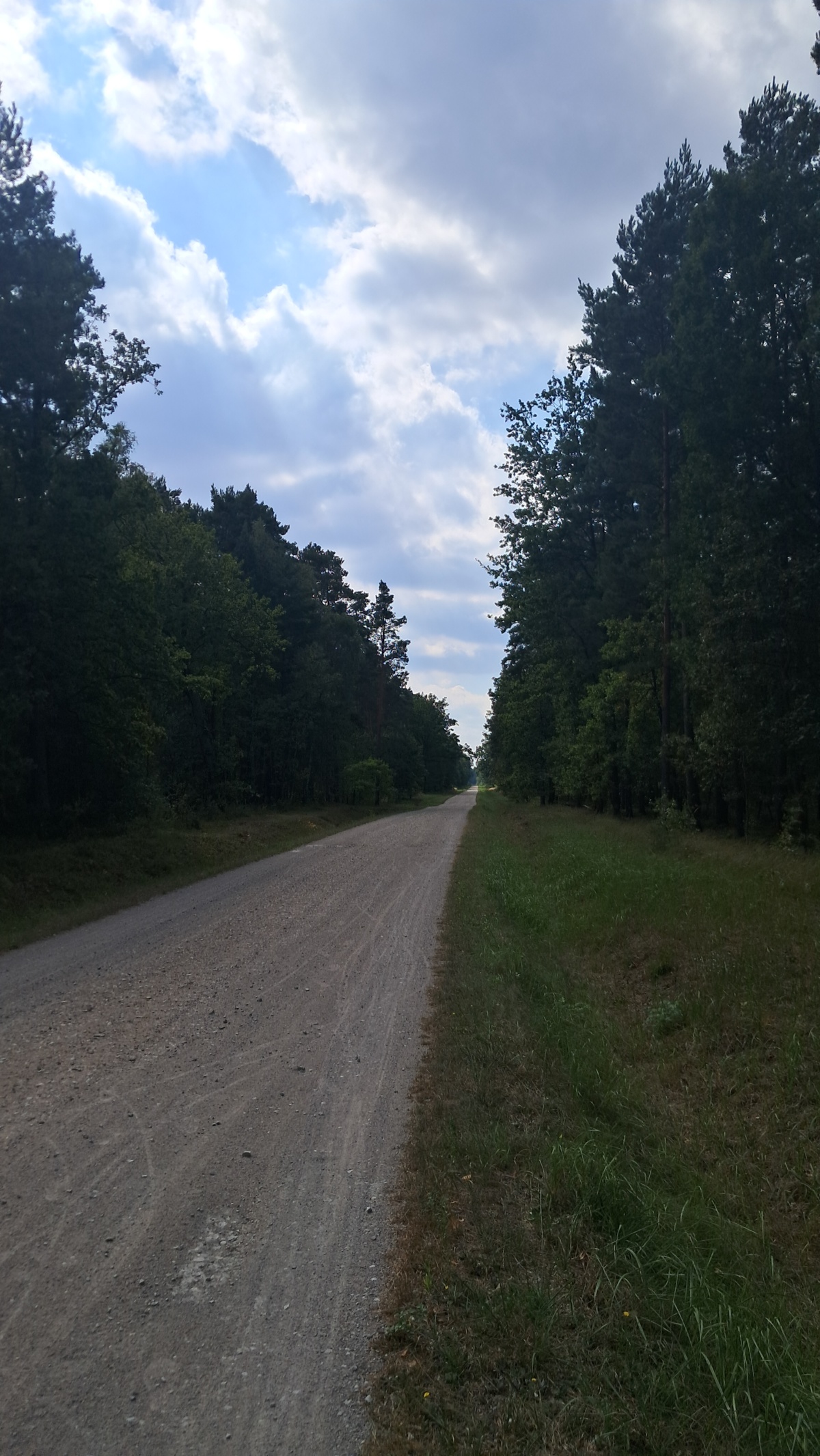 7315dff8-2571-475e-a548-22d89a60de3c