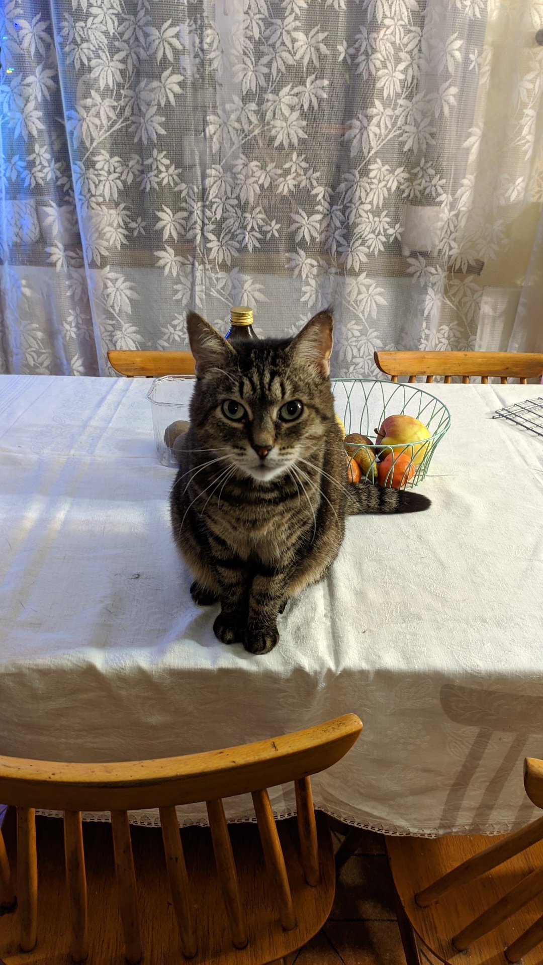 d1beda12-d04b-4989-b032-703daaaf9e2d