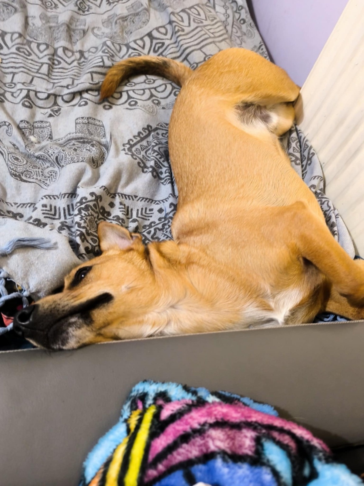 b4238f68-f0a2-41da-a807-1bec2febc968