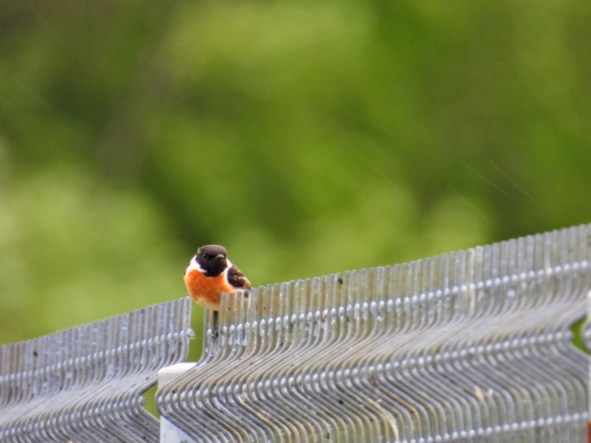 3914d149-6172-4a1d-bb44-b83b4507bc84