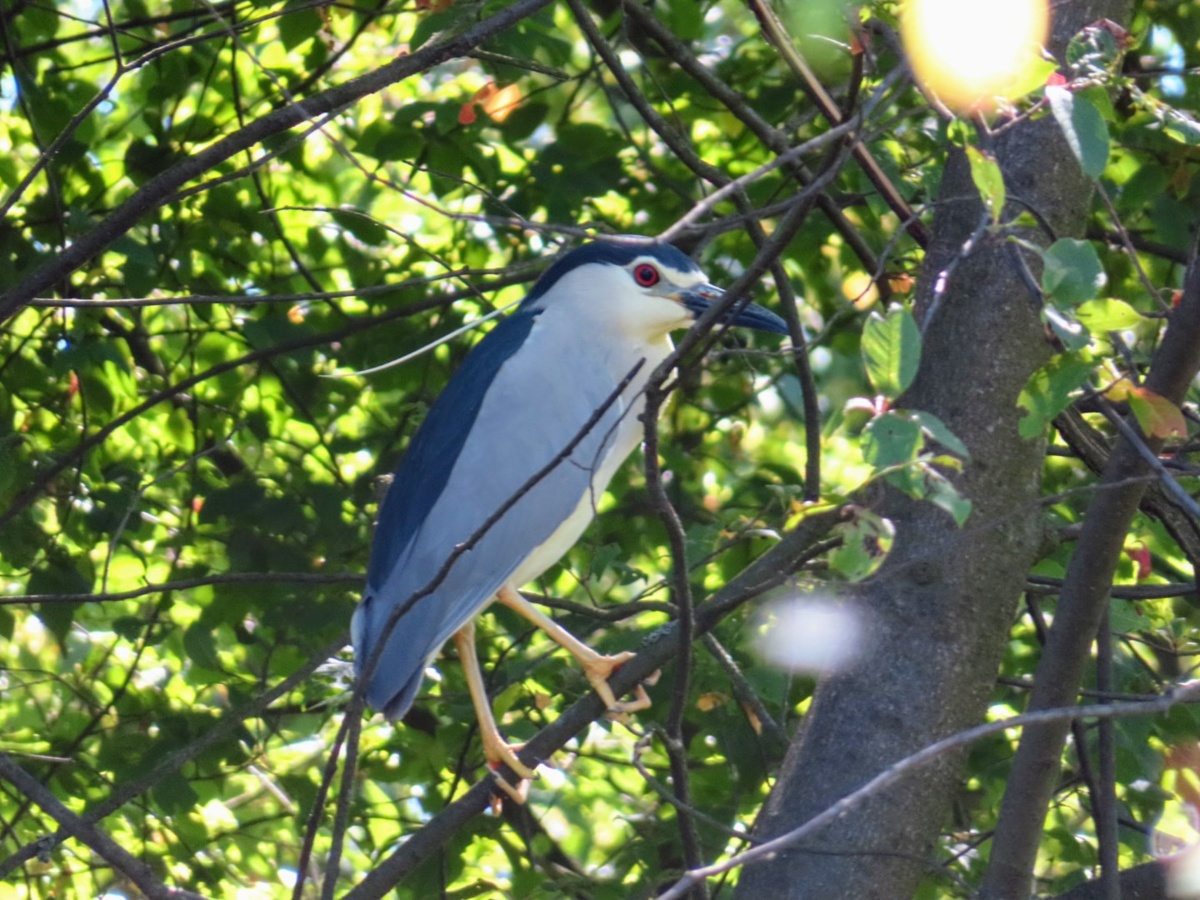 6f46e6b4-206e-44cc-8f89-bdbafd02c807