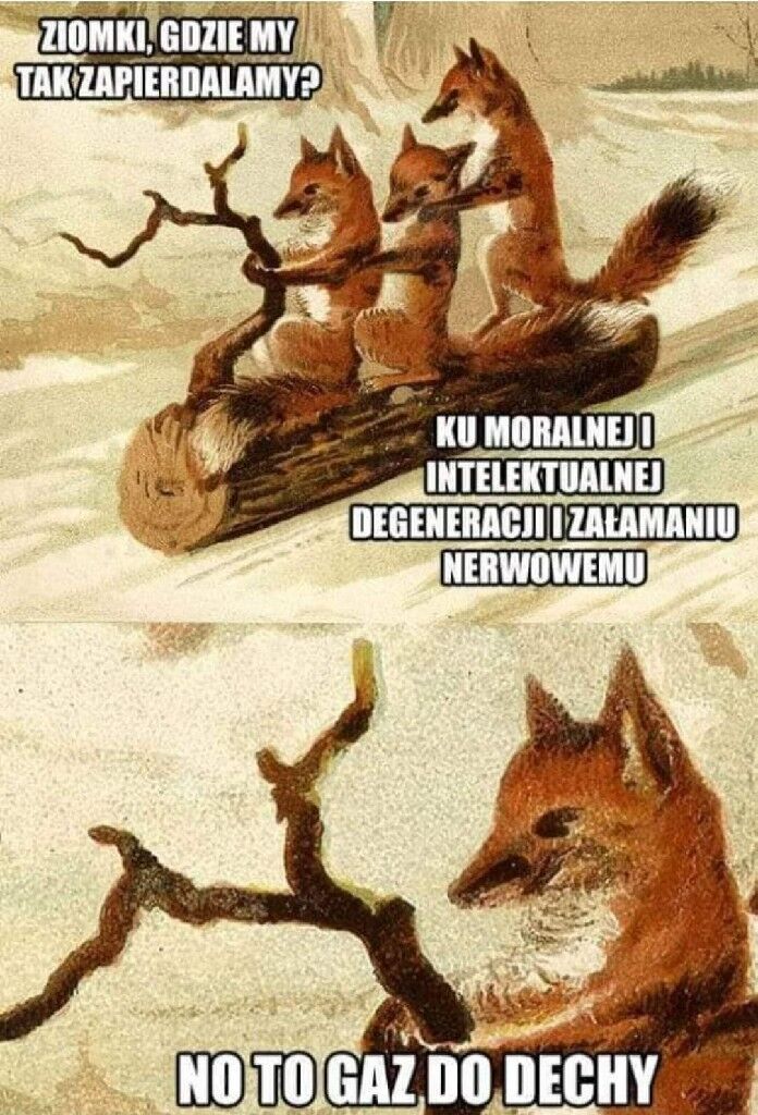 522a9b66-bcc8-4b17-b243-dd22bfba0665