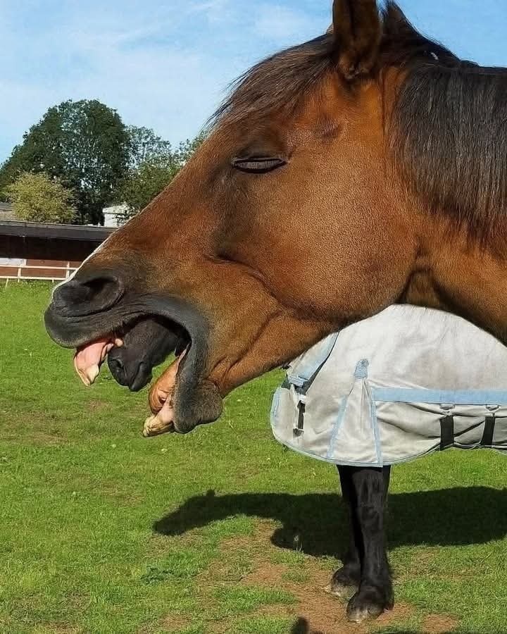 f7032d2e-4658-4c55-a2e4-9442e09b66f3