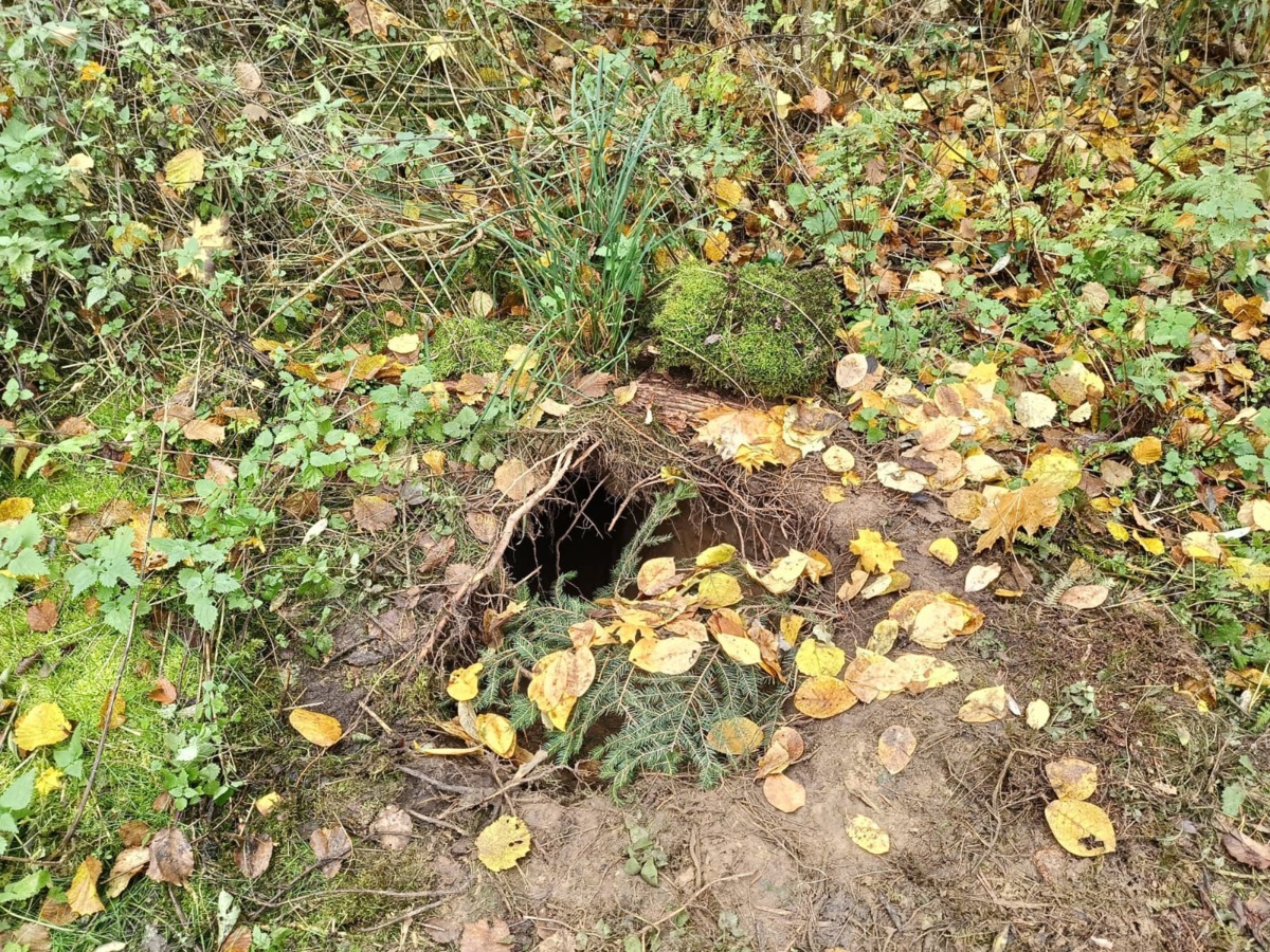 Kolejny podkop na polsko-białoruskiej granicy