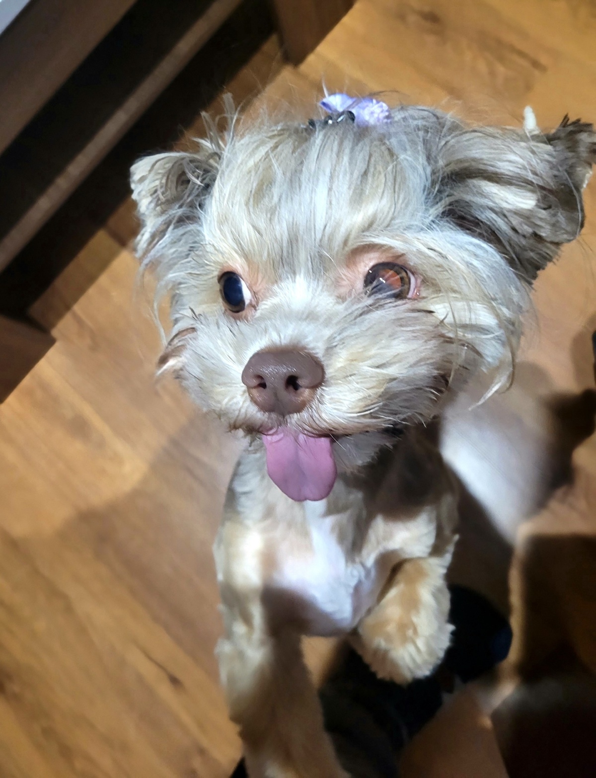 9aded405-e8e2-420d-9e2a-fbbac57257cb