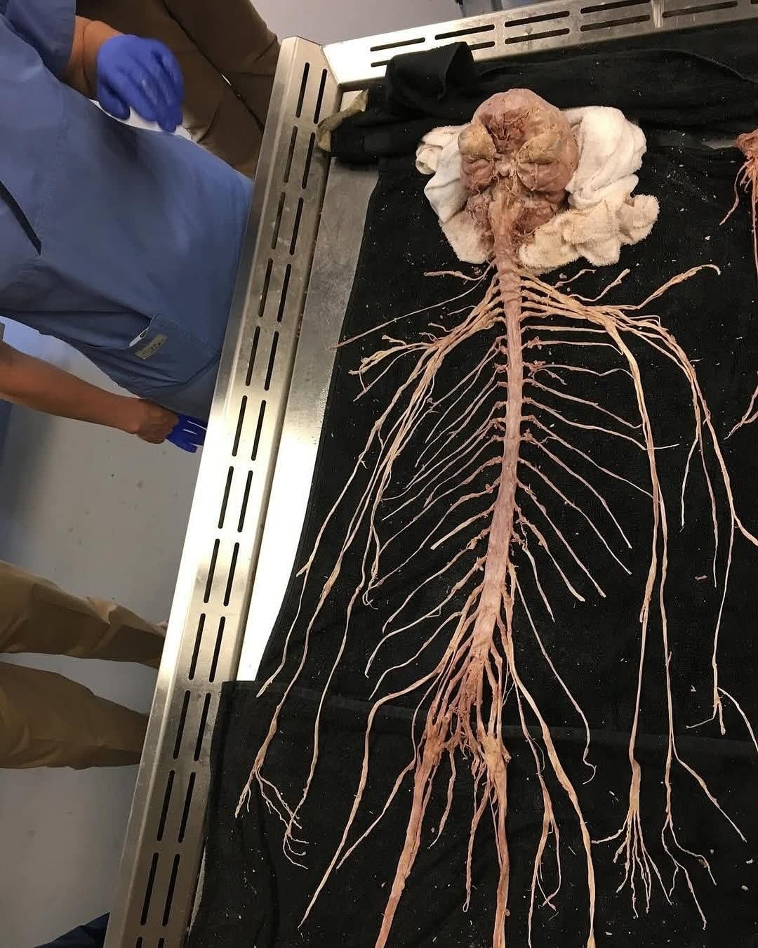 cb1341f1-d9f4-442e-a27a-17c93822ca24