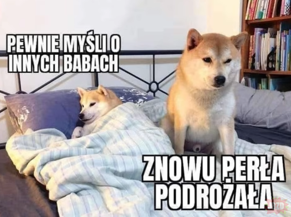 b31a7ca1-5002-4cd1-9d6b-dd093ac309e9