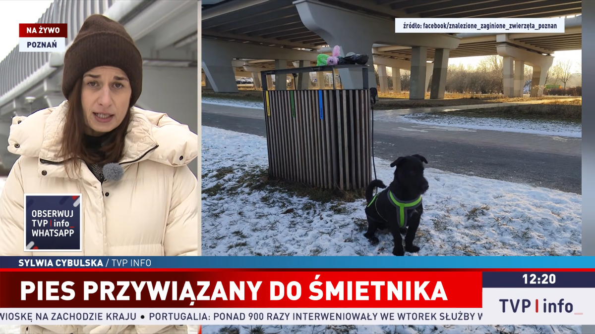 094ea3ef-4784-462c-beef-082bdda5a550