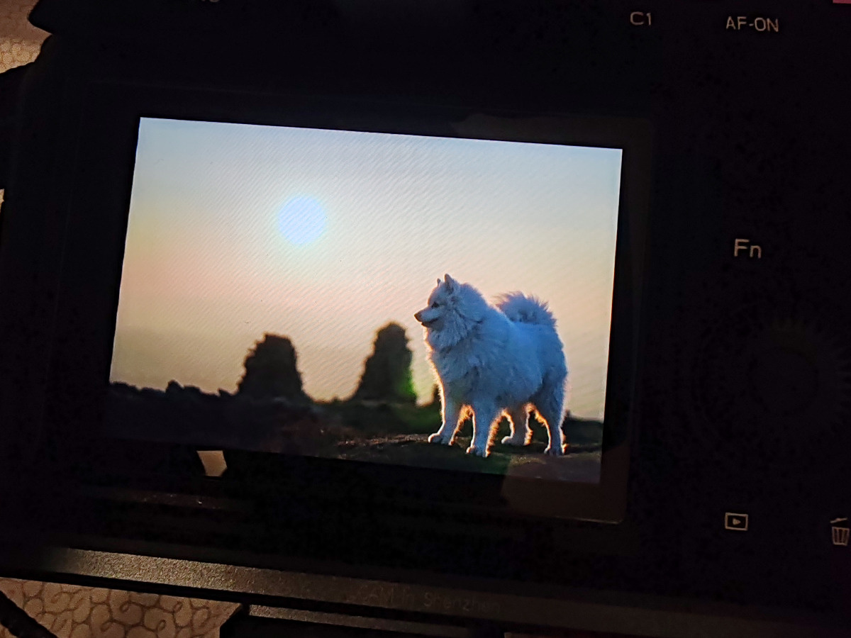 af53f345-10b6-4856-9404-6992e120af95