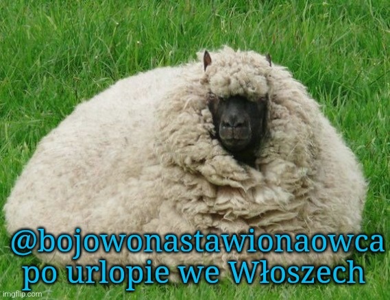 585cfefe-de20-4d73-b166-a40b80b4c4fa