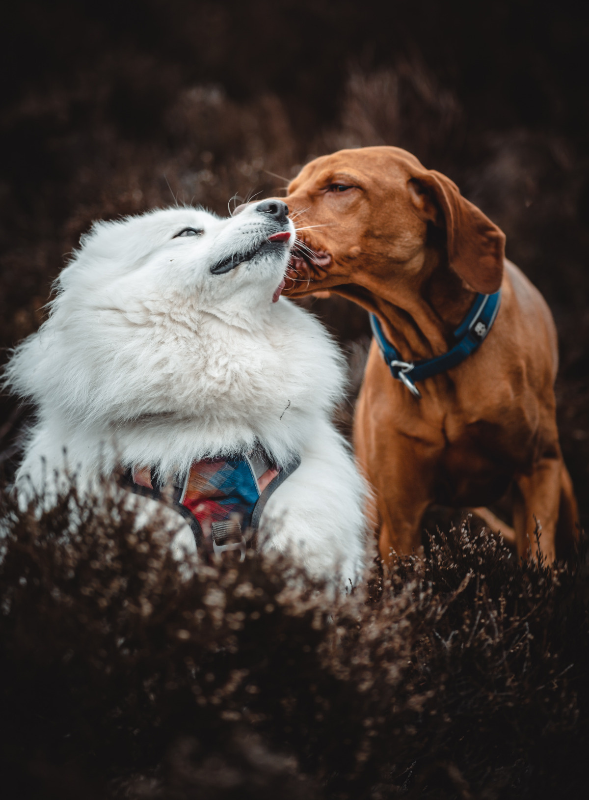 1d5b89f9-d305-4476-b6e3-8e4a8dc1cb51