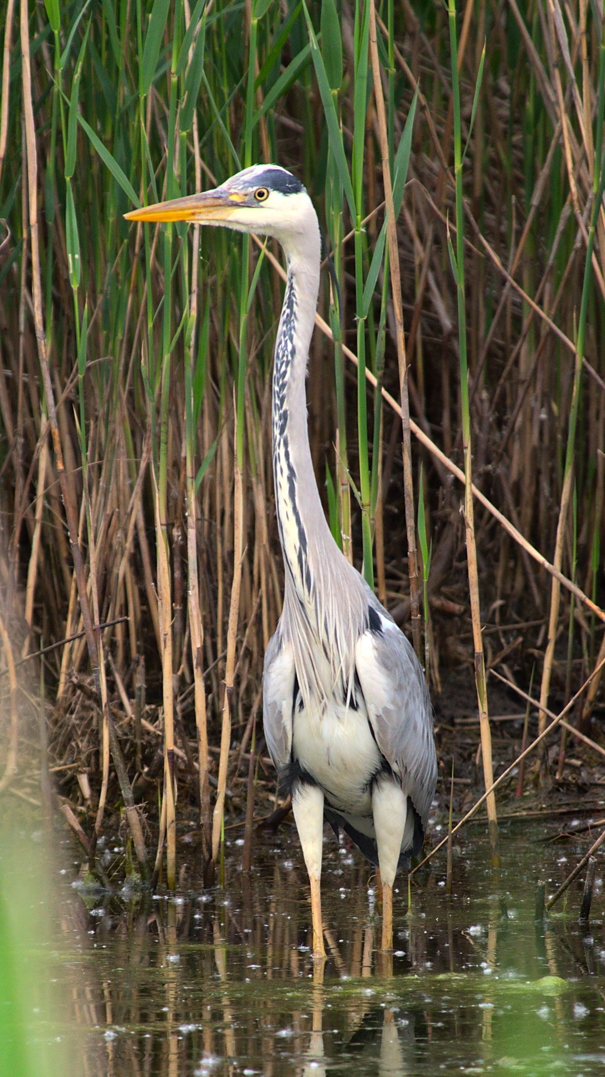 16482b35-5e94-4286-a3f8-7da56f4f26af