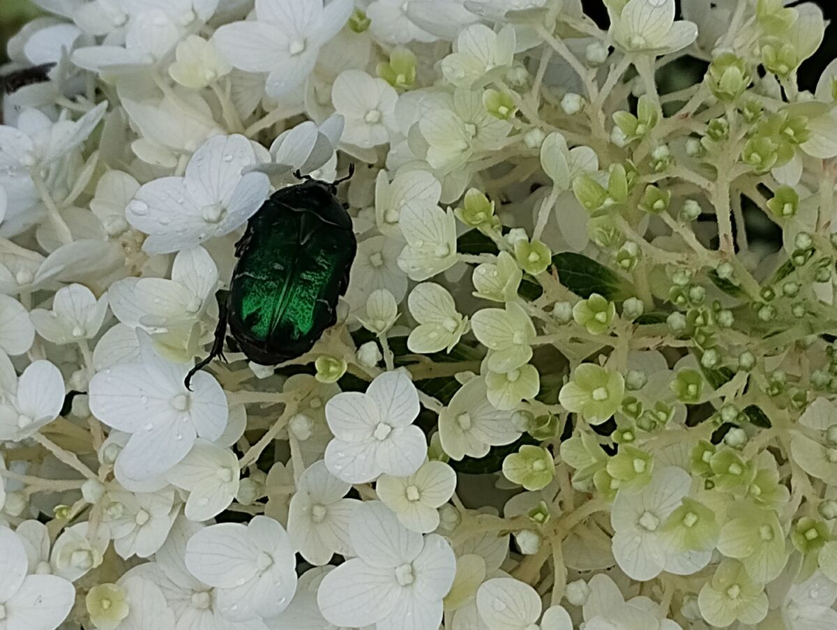 392c647a-1068-415e-8558-de78ae0c32af