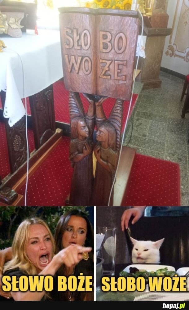 f36d1c83-d2be-4317-9ba9-90bf3b76b22b