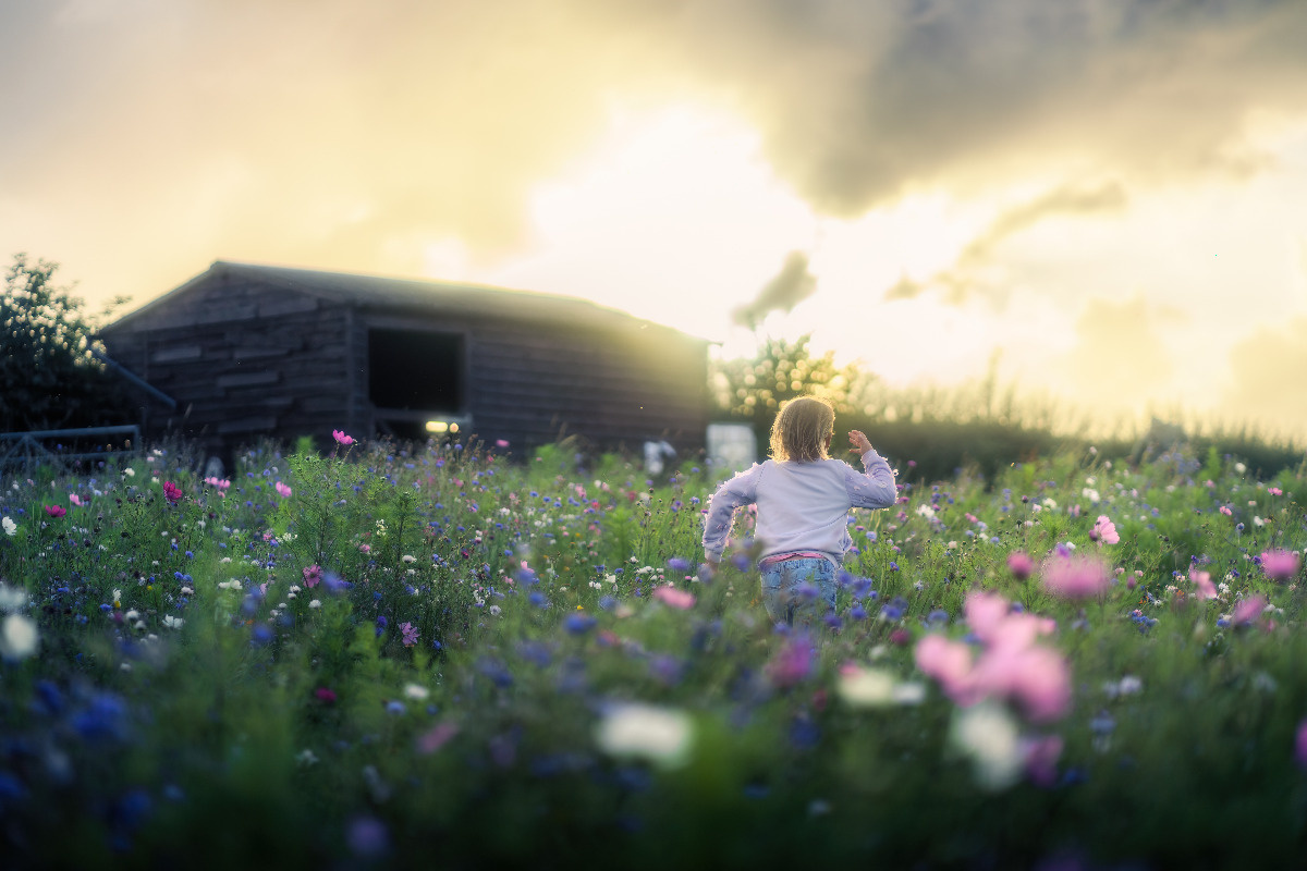 969486c6-be80-4e52-8664-5e21e48d0e76