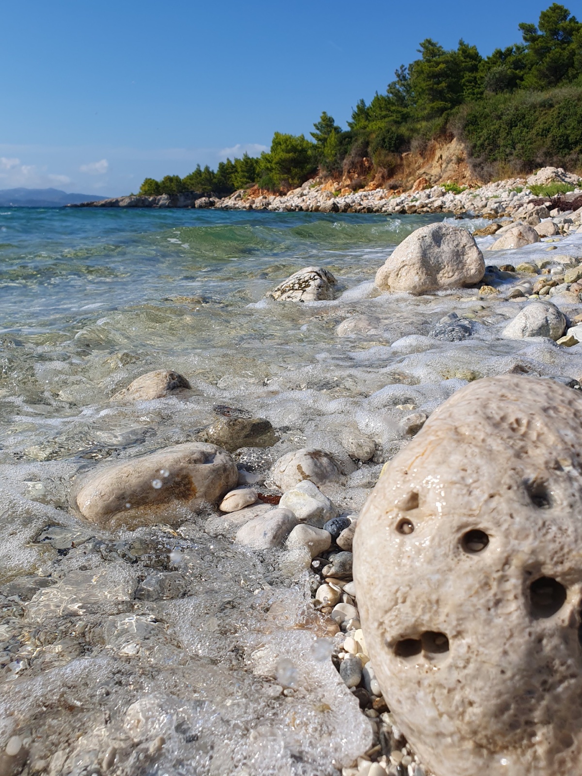 5354ca2b-e556-40fe-96f6-4351a65162df