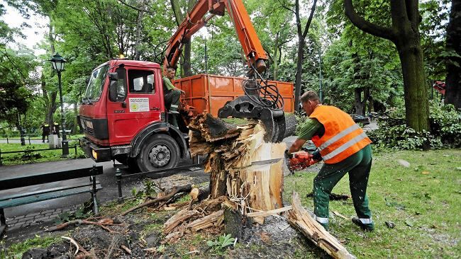 Burze nie odpuszczają. Oberwanie chmury nad Krakowem, a "cała Polska w ostrzeżeniach"