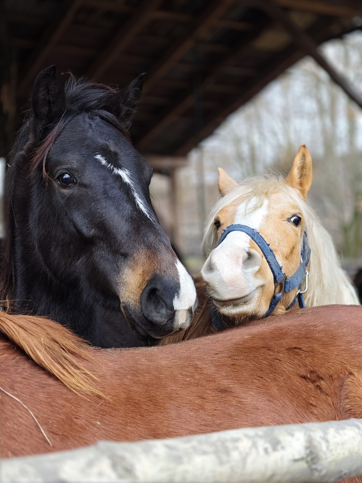 cc43f4fc-2a32-41d1-a2c0-15d2c04f58d9