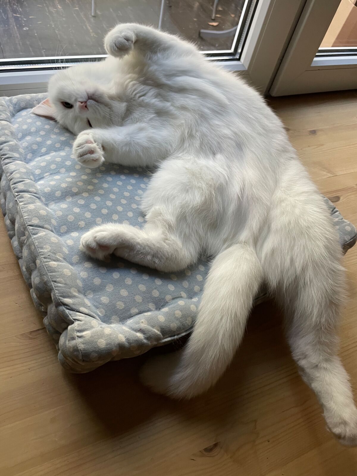 38cecb97-c7ed-4536-accd-ee6d85075d05