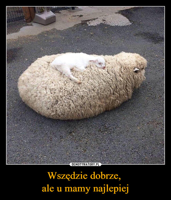 75dba1d8-4266-45bc-8e5e-bf03f3ff38ce