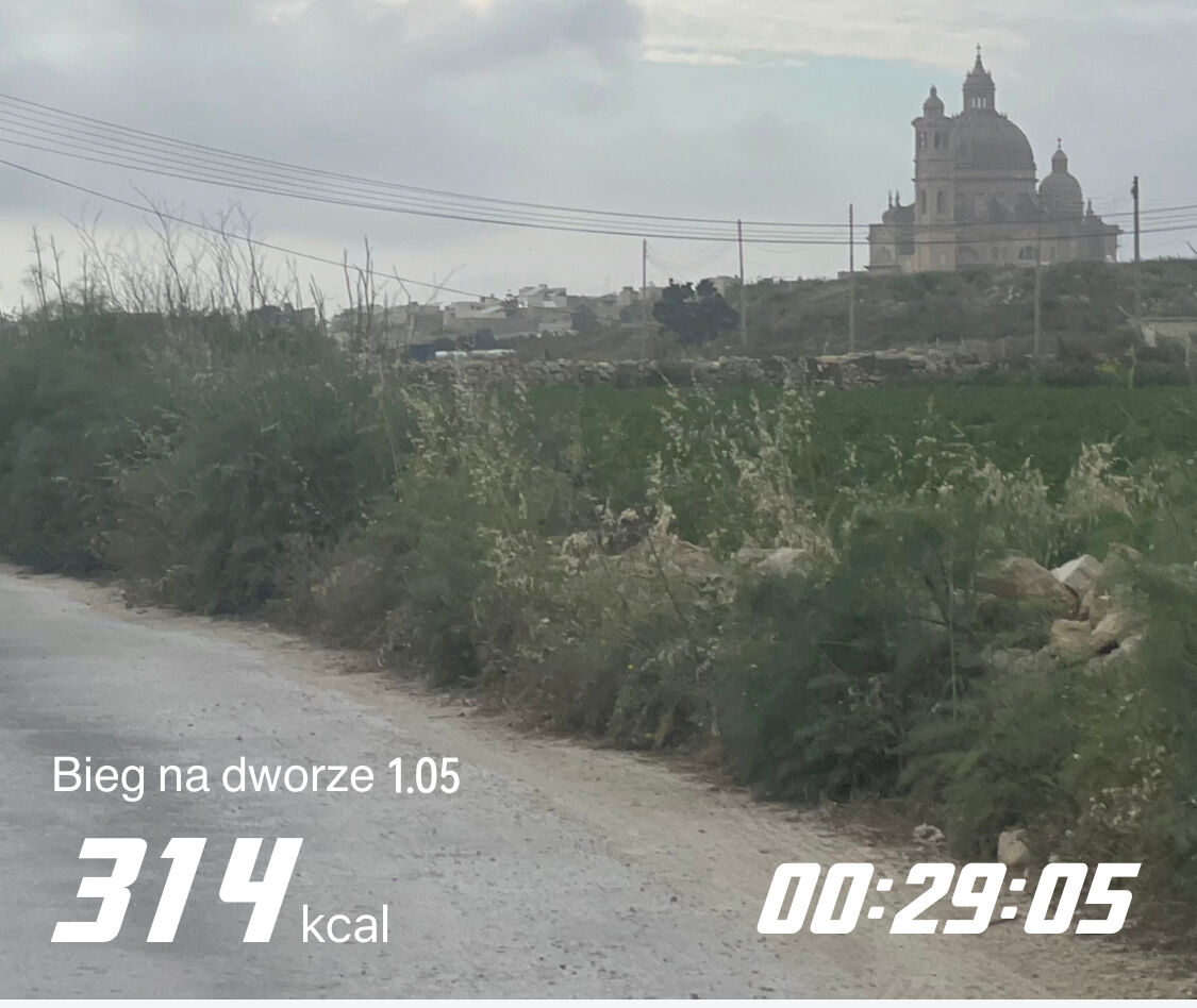 2e01a199-c4c8-446e-bccd-dfd2a3be815a