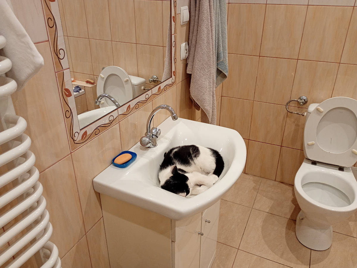 391e7533-b34d-4e42-8b15-36bc2c41dd54