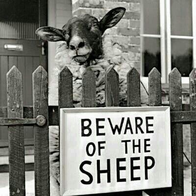 483b4416-c94f-42a6-93ac-b5ad1227c77c