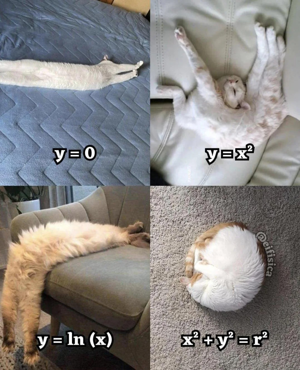 68f7a9ea-9991-492e-95d8-fb6dc925d1e8