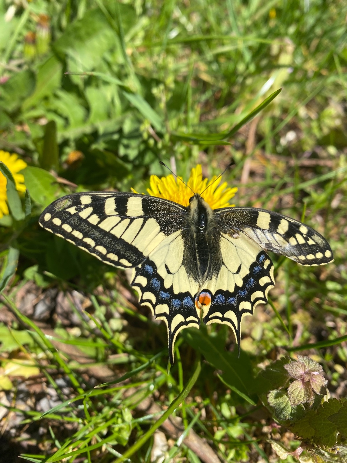 f538cd55-6c25-4e81-8dfc-48f4d813c4f3