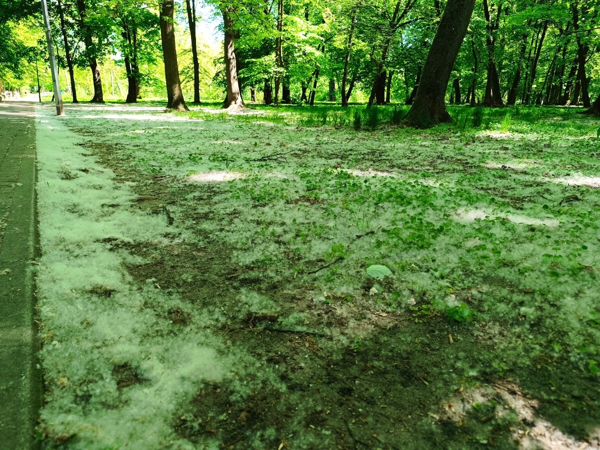 10b341d0-e223-4304-9688-cf7665fe2c84