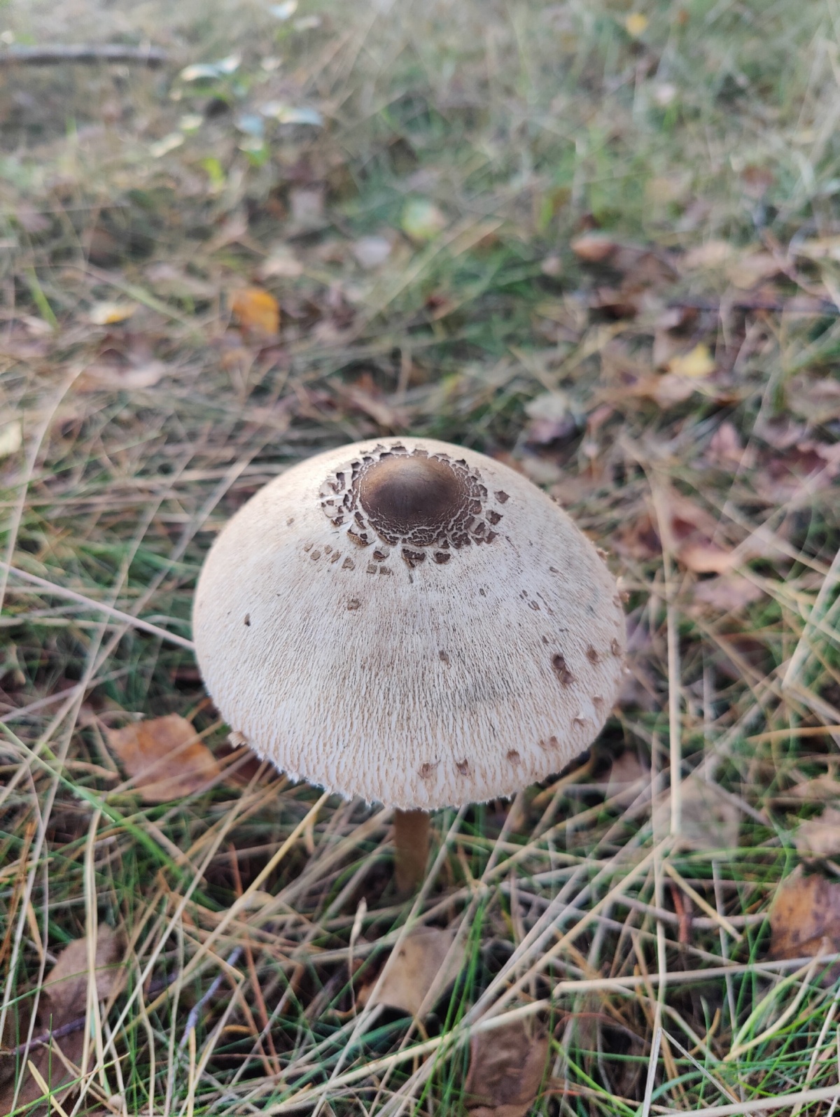 58822ecc-12a7-437d-99c7-61c6d196808a