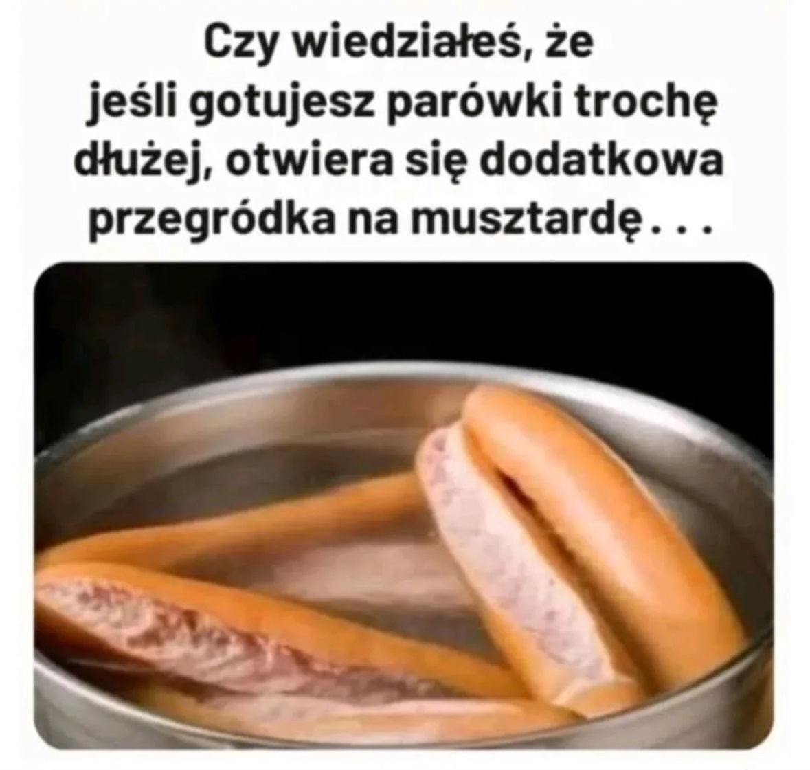 d21b971d-9aec-4c95-a32a-660d025e854b