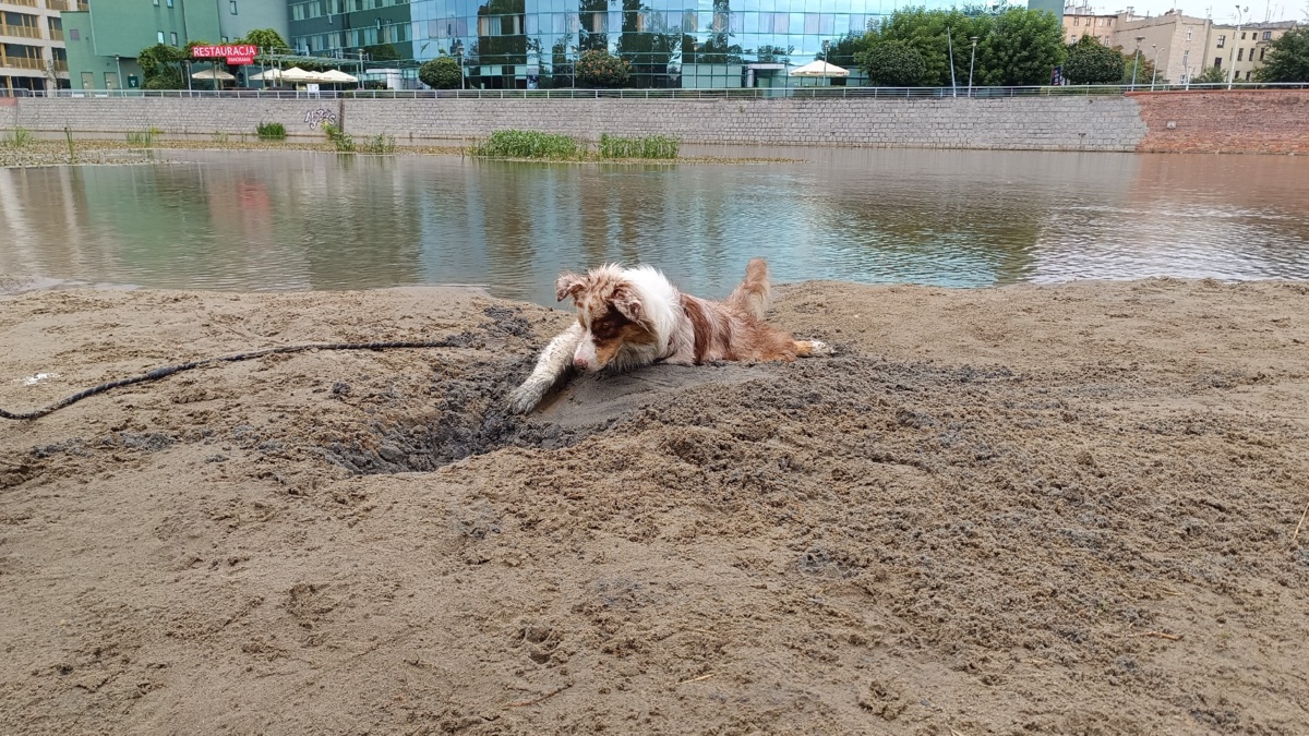 c93358af-76ed-4ee7-a595-15b5b5bb4918