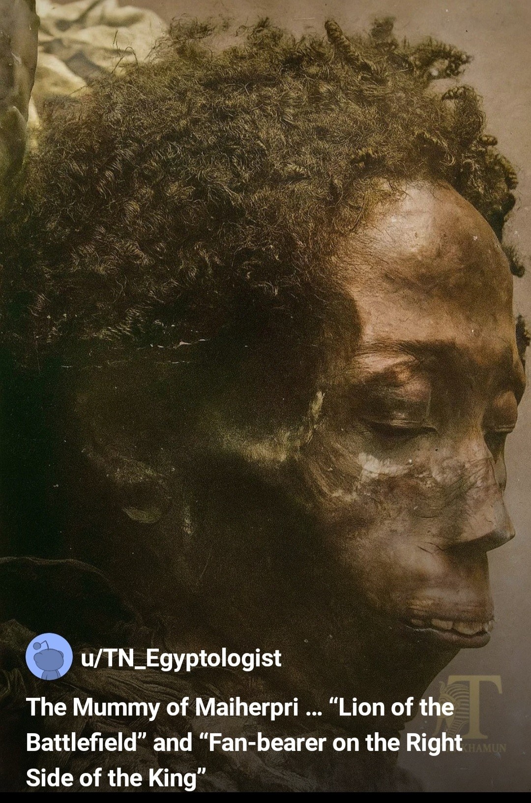 fb3fc17b-e51d-4030-89a4-f0f4271970b1