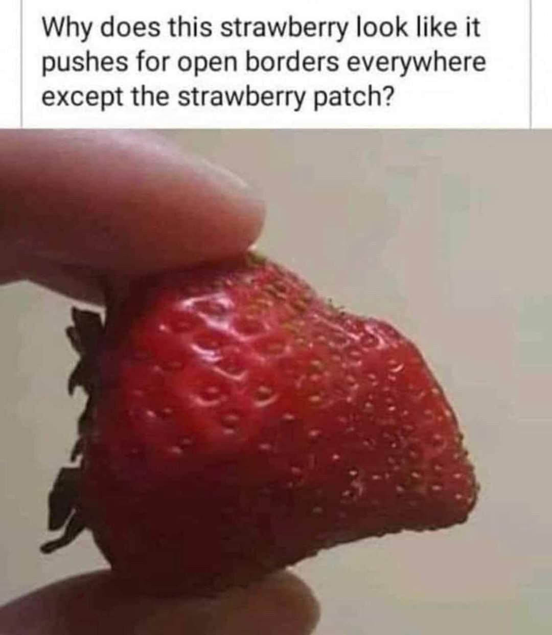 d8938681-3957-4601-bf82-9045e79f3a38