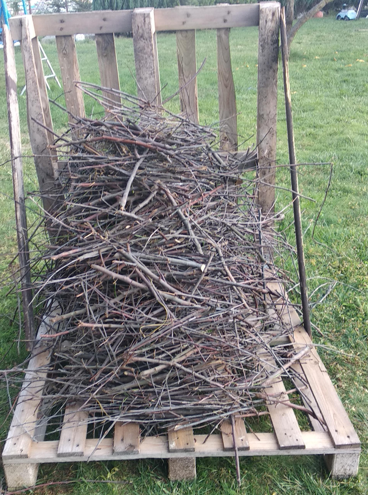 f799b329-bde3-448f-b1ef-933312f50c3e