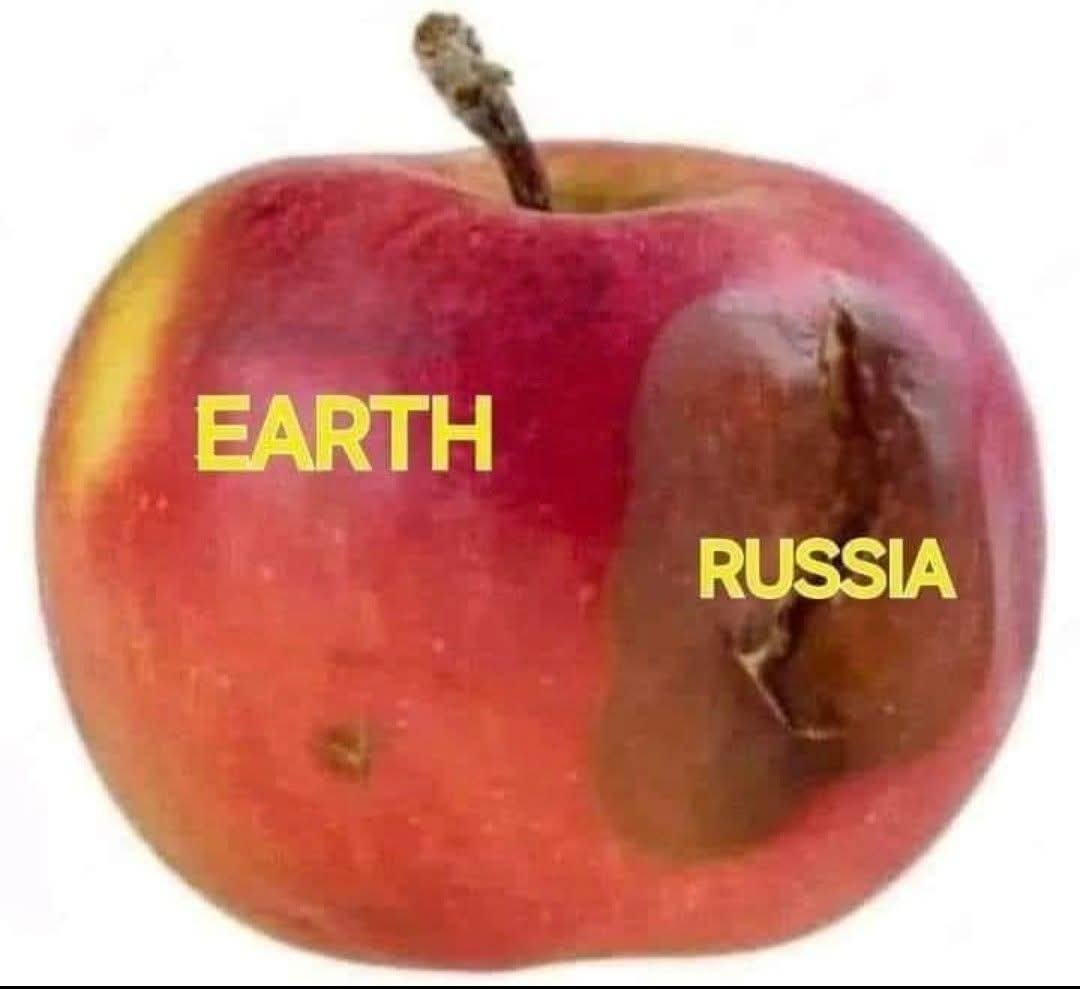 14228ef7-19cd-4a6b-9316-aeb1e70a06cd