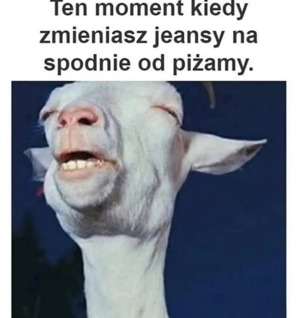 9d948274-cb57-4313-88b3-f88467460087