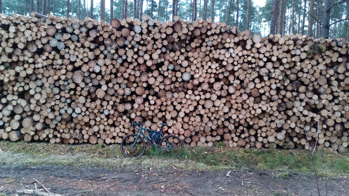 029dd8d4-6c1d-4149-a155-925b8fa55c26