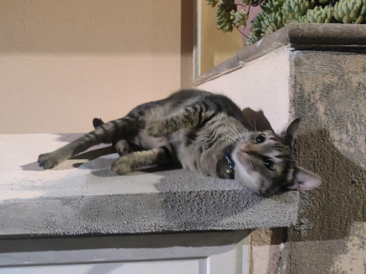 2708549e-6bf3-4e86-83a2-92c01b902ff2