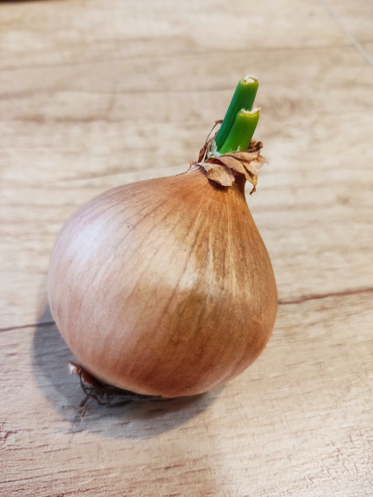 3580bf9c-81c8-4e0a-87df-9d3affe4cdb2