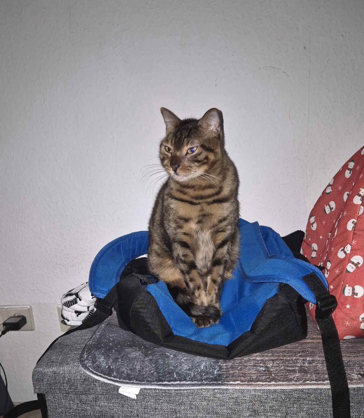 28cb0b2b-b9f4-477c-8cd3-a26426ce4cc8