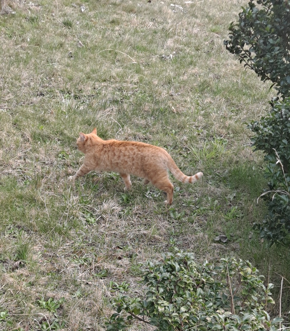 e37447ef-1220-49cc-a67a-ff5d87ebb1e6