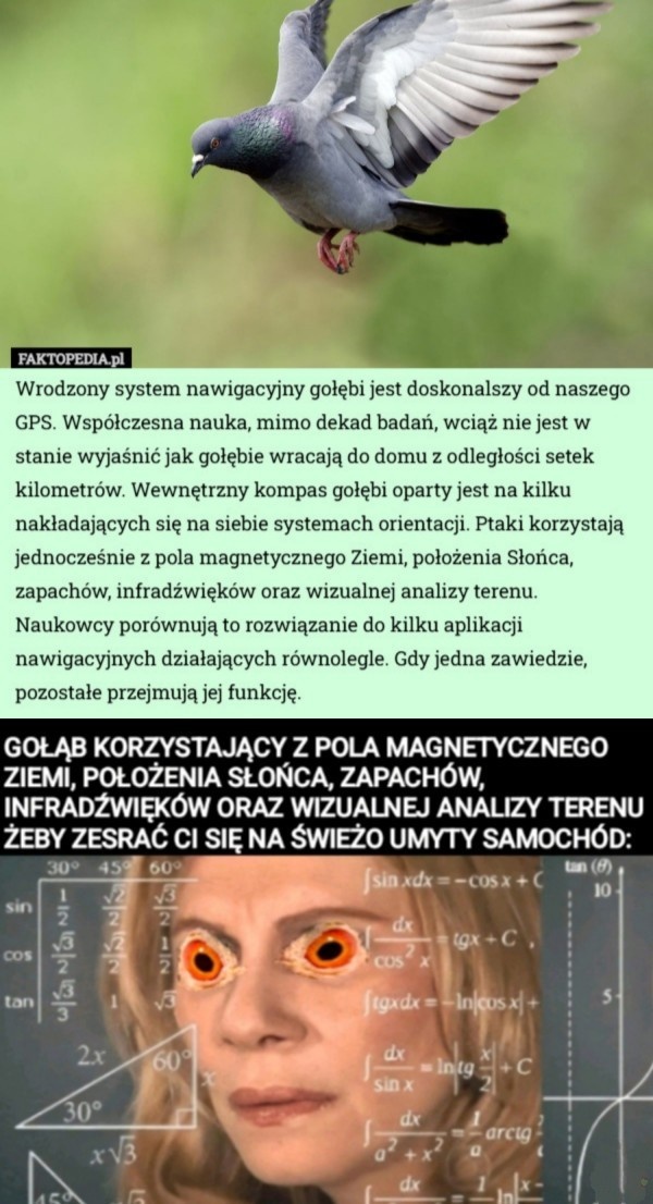 d81e0676-4d0a-429e-aedf-88b174c6c1e0