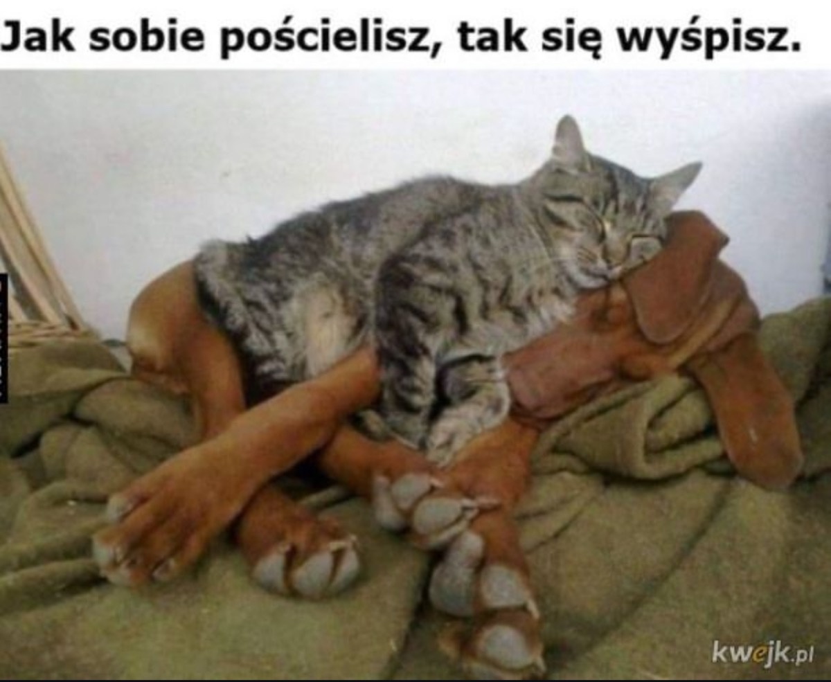 fa2735c3-f738-407c-9a5c-8ec55530607c