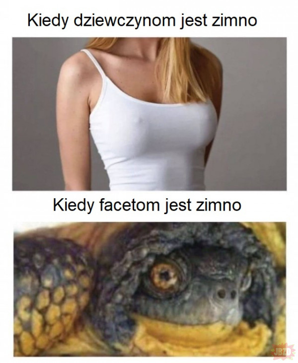 b218d715-65e9-4408-b7b4-9cf11c3bdff7