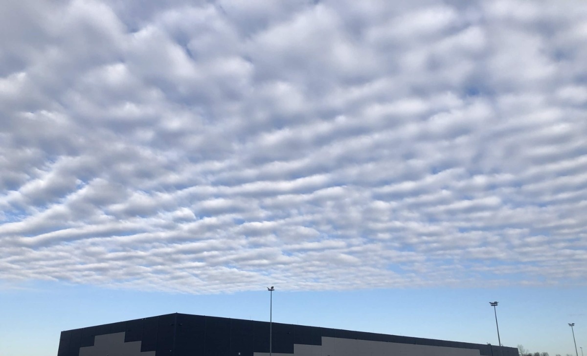 2597c56f-016e-4914-82e8-9217e4c3b0c4